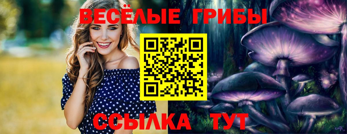 Псилоцибиновые грибы GOLDEN TEACHER Новоуральск